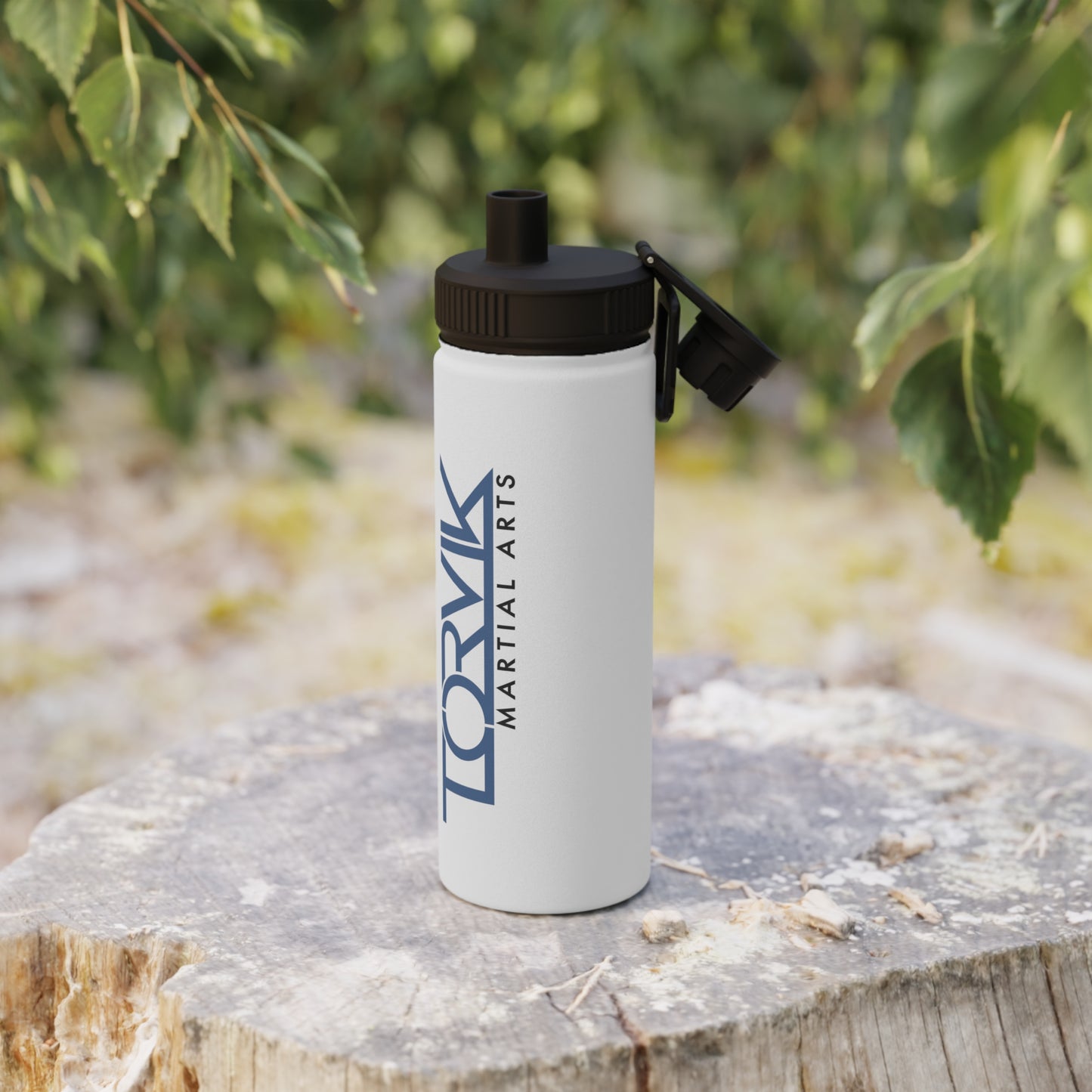 Stainless Steel Water Bottle, Sports Lid